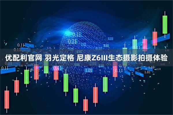 优配利官网 羽光定格 尼康Z6III生态摄影拍摄体验