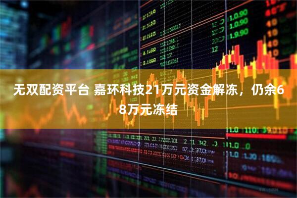 无双配资平台 嘉环科技21万元资金解冻，仍余68万元冻结