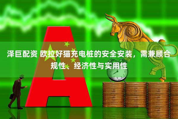 泽巨配资 欧拉好猫充电桩的安全安装，需兼顾合规性、经济性与实用性