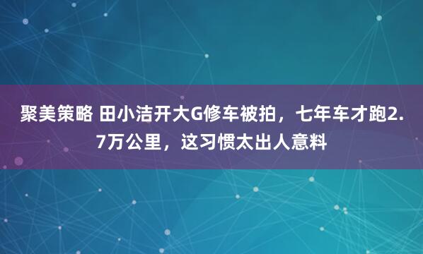 聚美策略 田小洁开大G修车被拍，七年车才跑2.7万公里，这习惯太出人意料