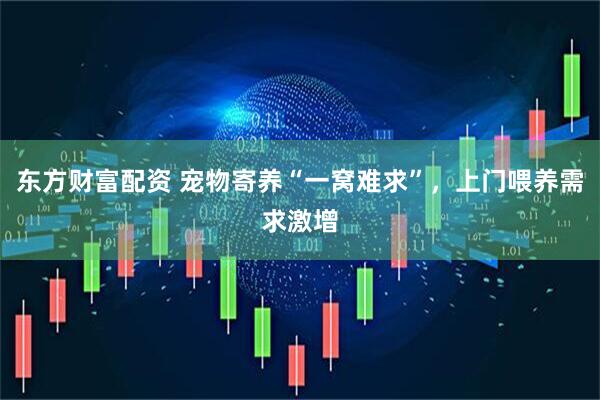 东方财富配资 宠物寄养“一窝难求”，上门喂养需求激增