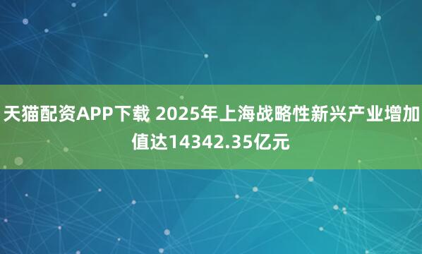 天猫配资APP下载 2025年上海战略性新兴产业增加值达14342.35亿元